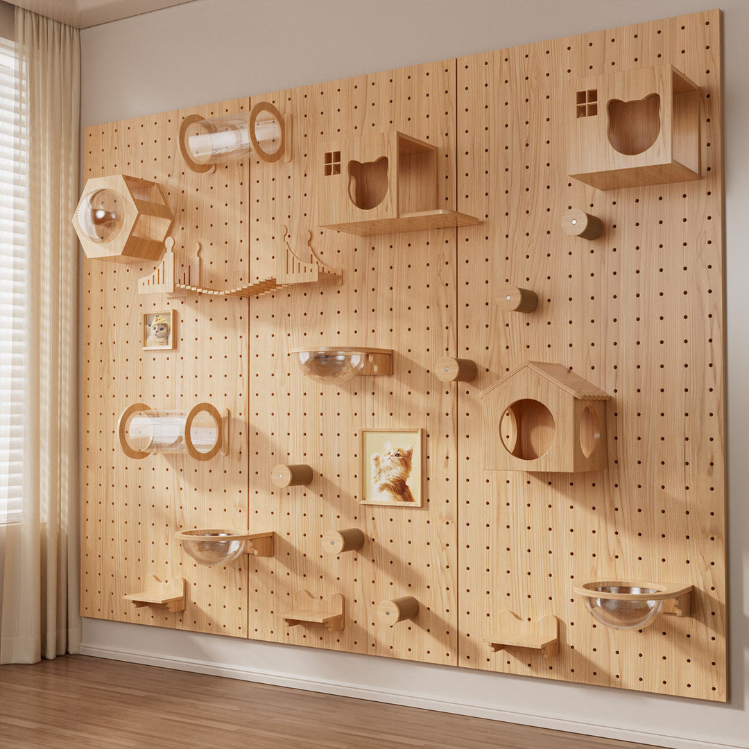 DIY Wall-Mount Cat Adventure Set