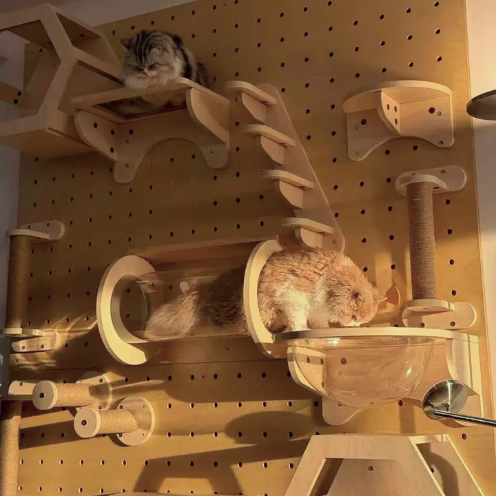 DIY Wall-Mounted Cat Adventure Board