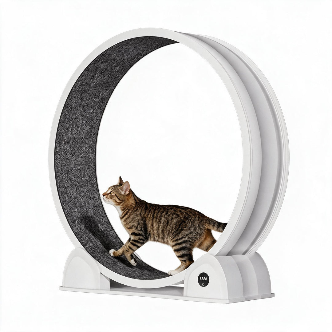 Silent Cat Exercise Wheel With Pedometer