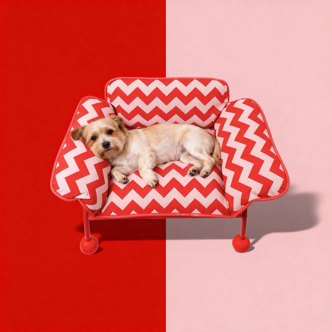 2-in-1 Pet Sofa Hammock