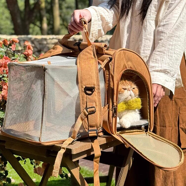 Travel-Ready Expandable Pet Backpack