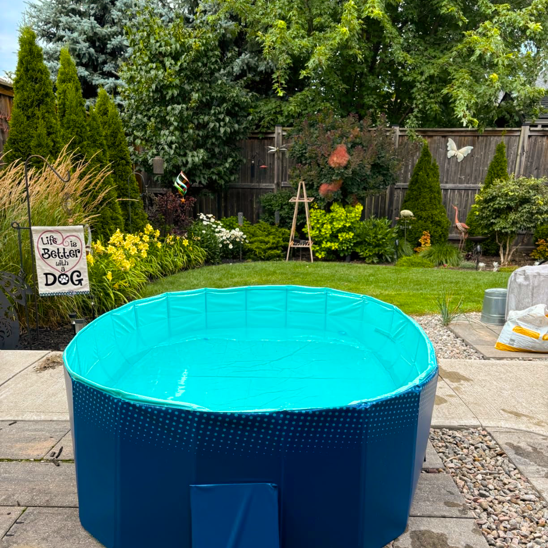 Foldable Dog Pool