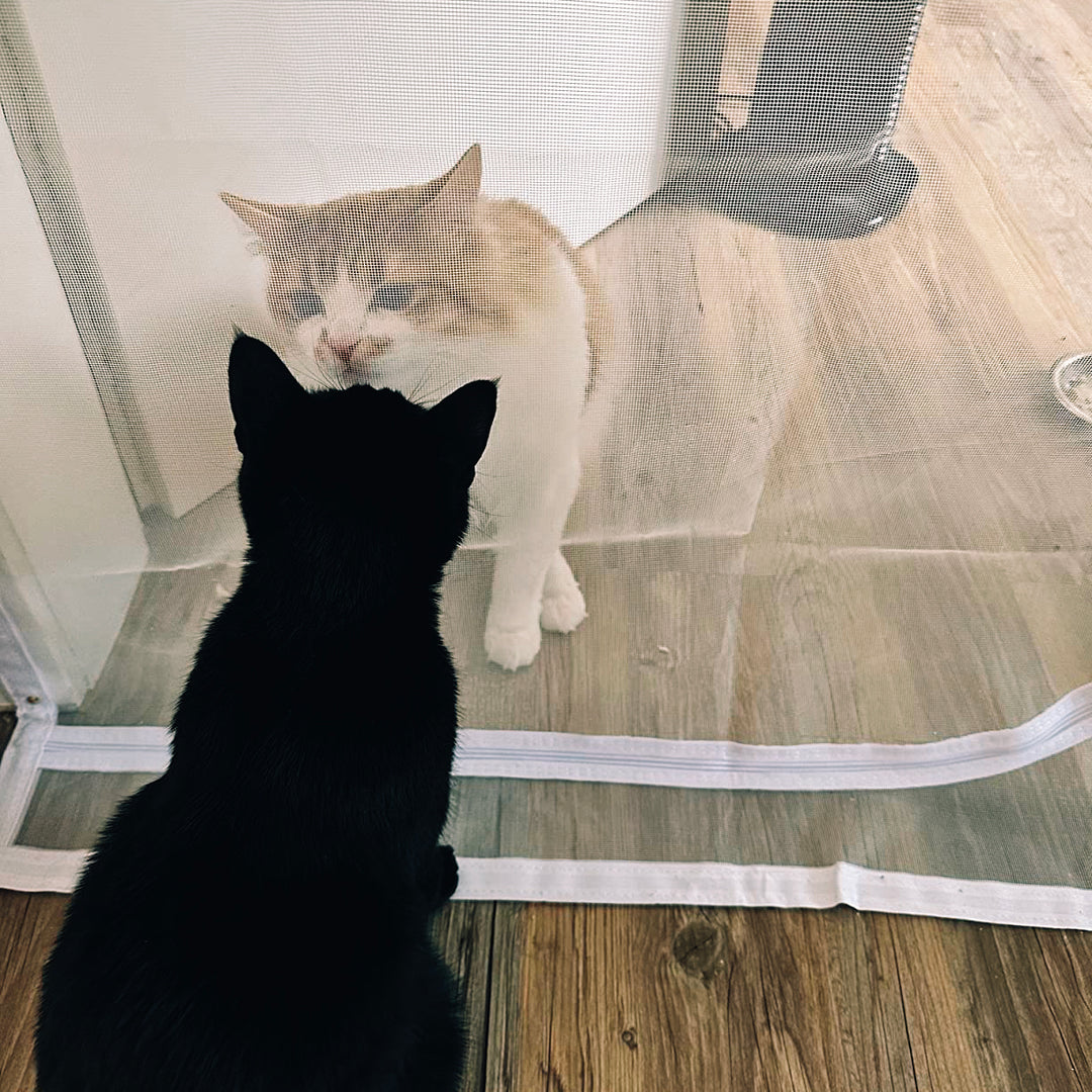 Zip-In Mesh Cat Door Curtain