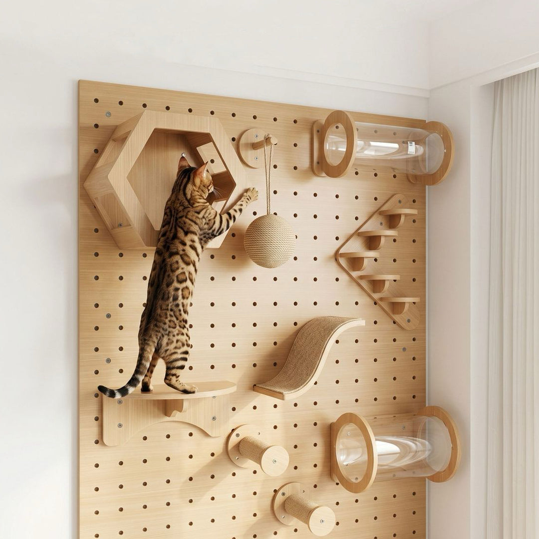 DIY Wall-Mount Cat Adventure Set