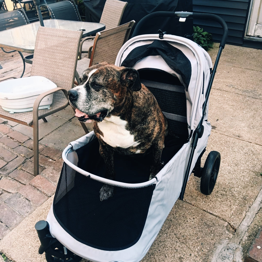 Large Foldable Pet Stroller with Ramp