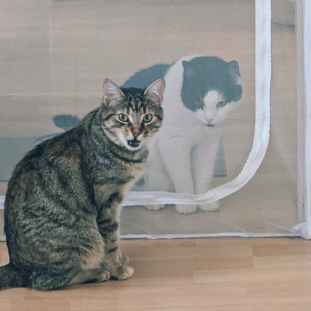 Zip-In Mesh Cat Door Curtain