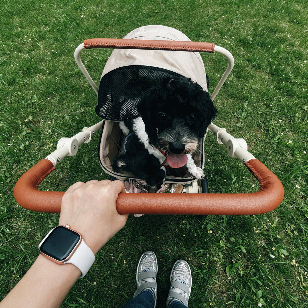 2-in-1 Foldable Pet Travel Stroller
