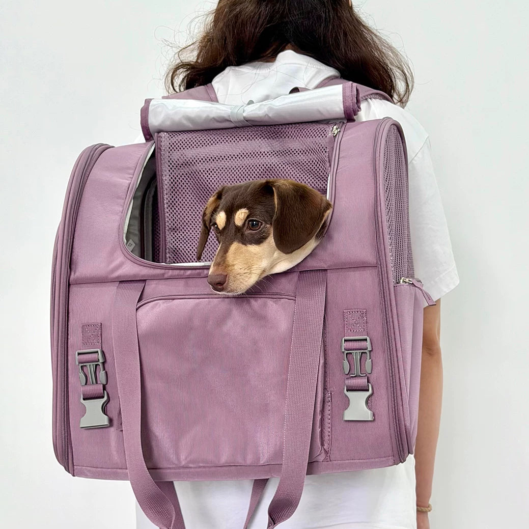 Travel-Ready Expandable Pet Backpack