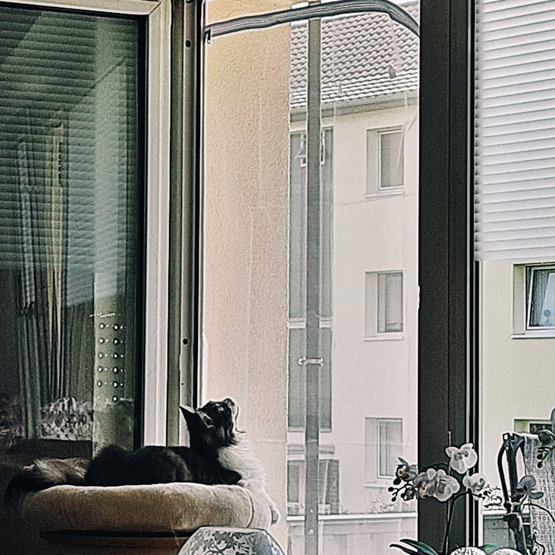 Zip-In Mesh Cat Door Curtain