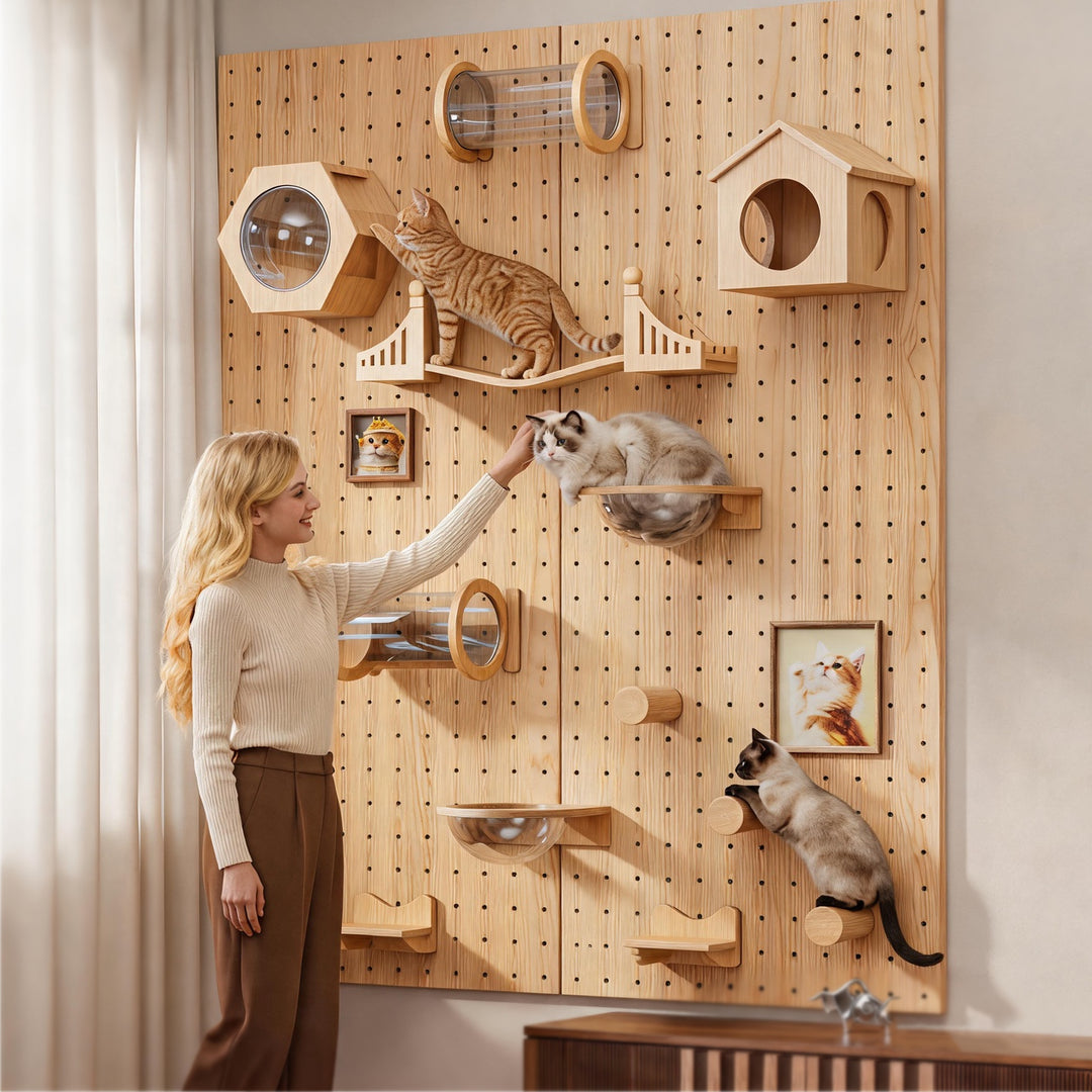 DIY Wall-Mount Cat Adventure Set
