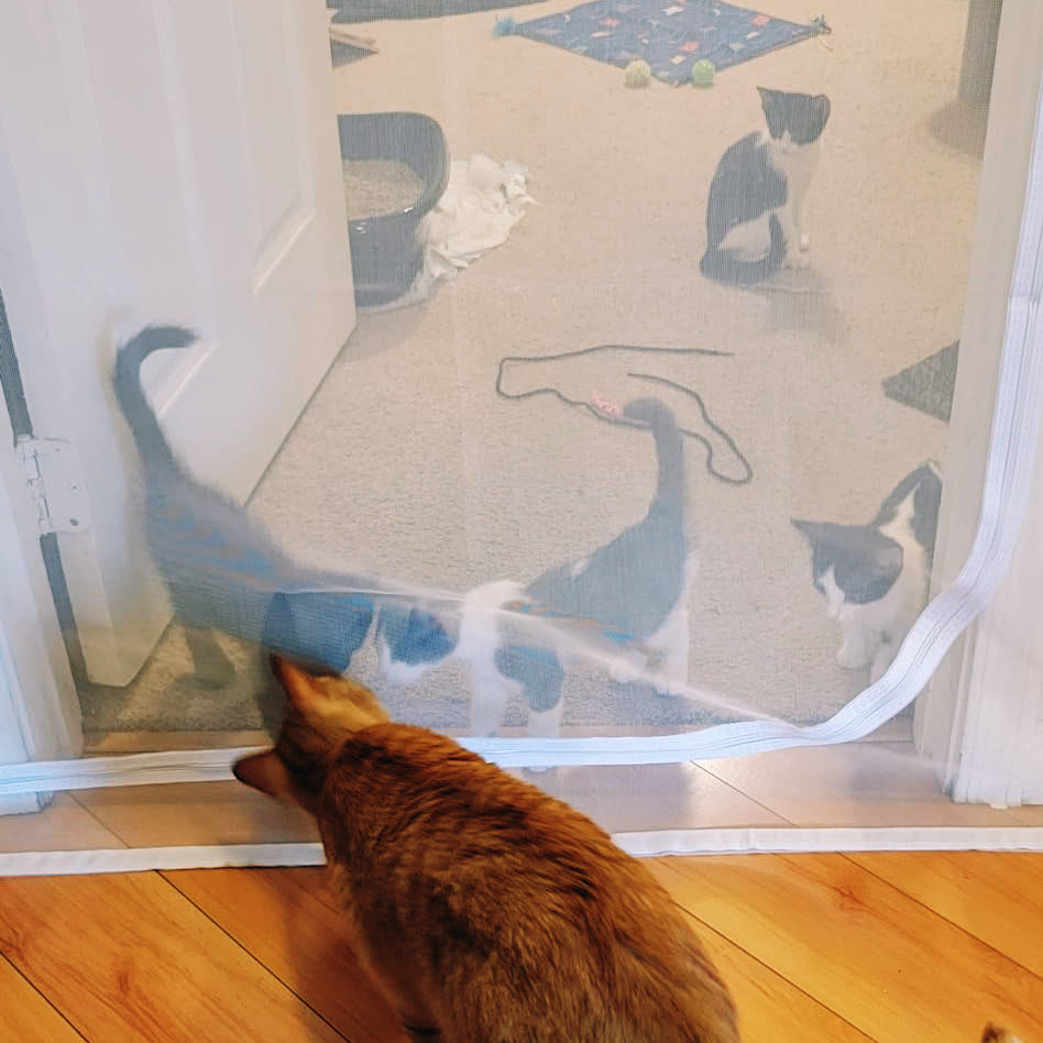 Zip-In Mesh Cat Door Curtain