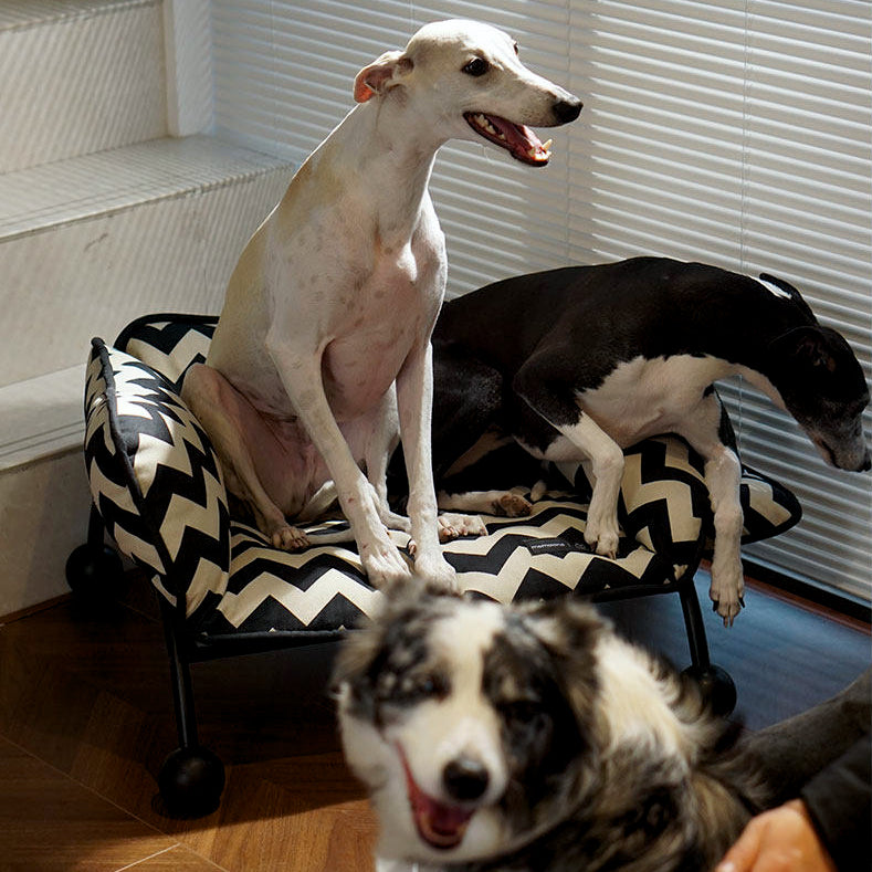 2-in-1 Pet Sofa Hammock