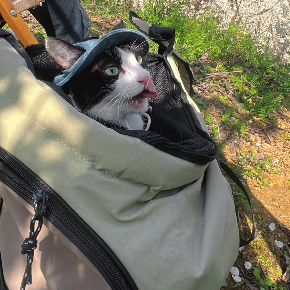 Dual-Position Pet Carrier Backpack