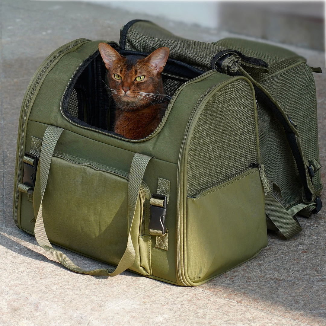 Travel-Ready Expandable Pet Backpack