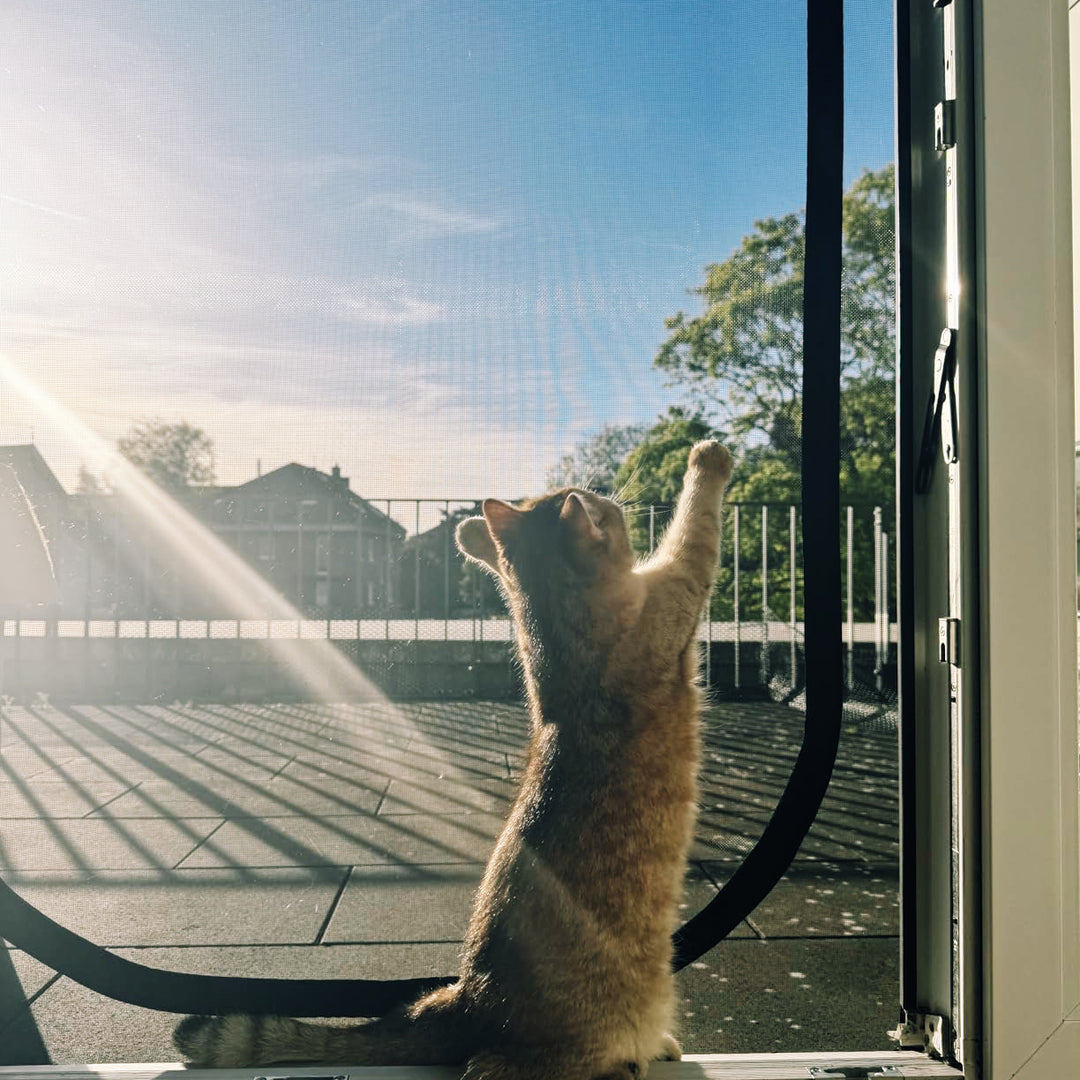 Zip-In Mesh Cat Door Curtain