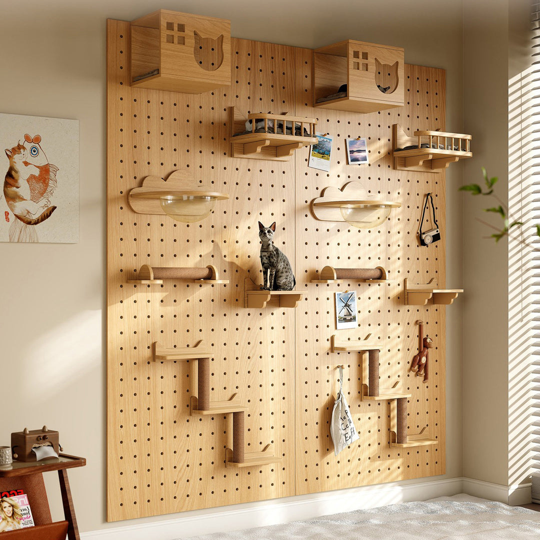 DIY Wall-Mount Cat Adventure Set