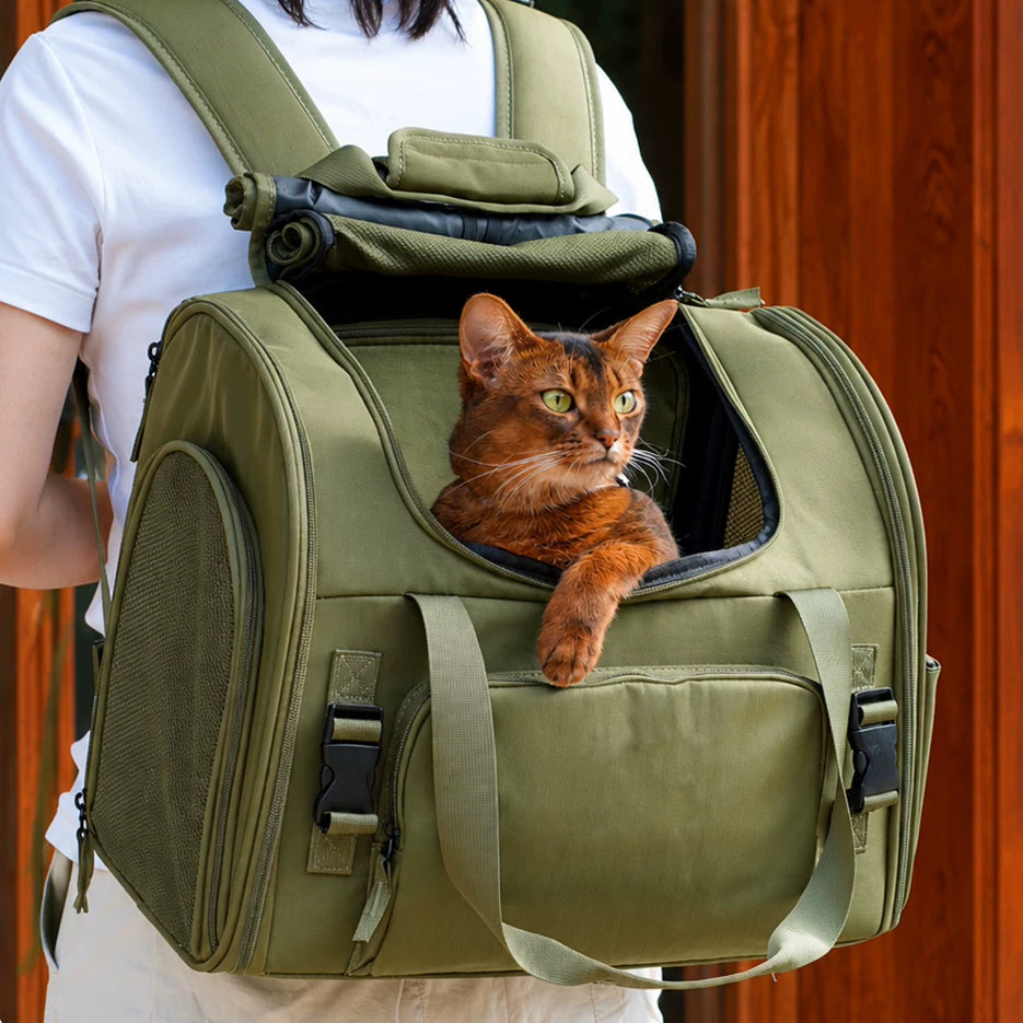 Travel-Ready Expandable Pet Backpack