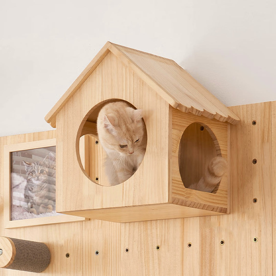 DIY Wall-Mount Cat Adventure Set