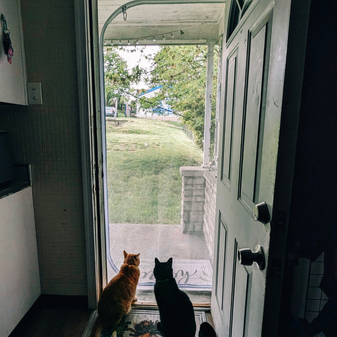 Zip-In Mesh Cat Door Curtain
