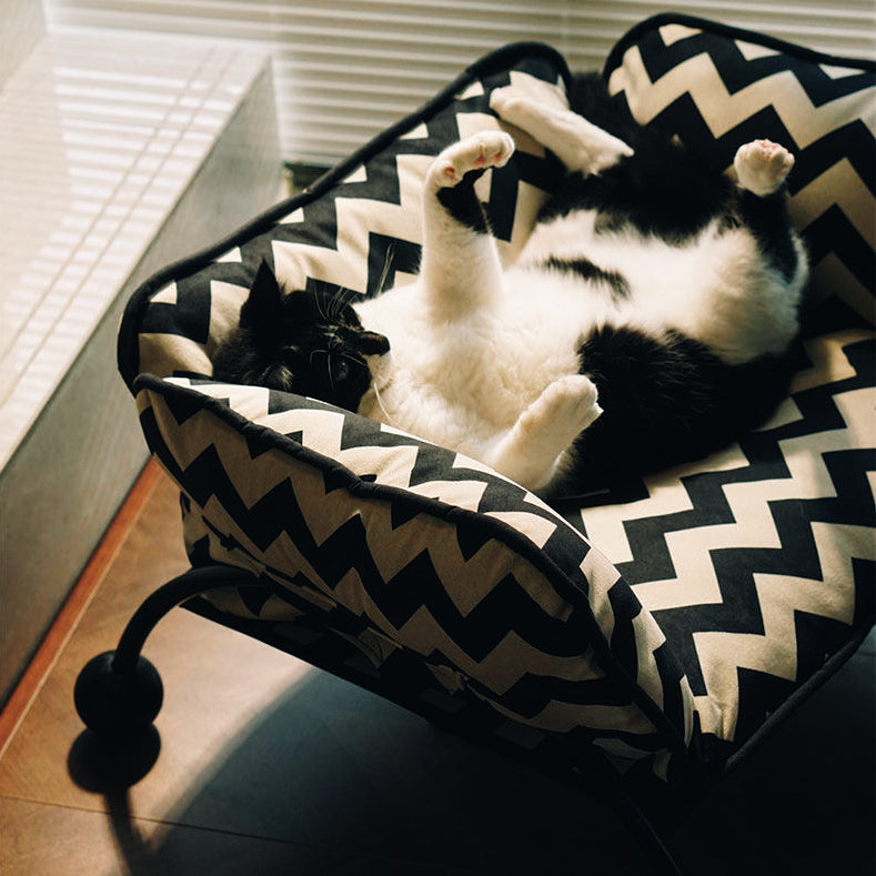2-in-1 Pet Sofa Hammock