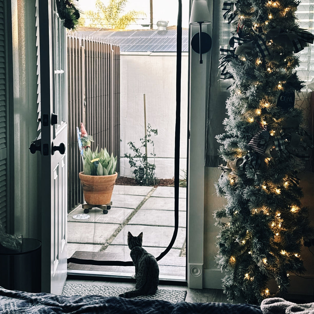Zip-In Mesh Cat Door Curtain