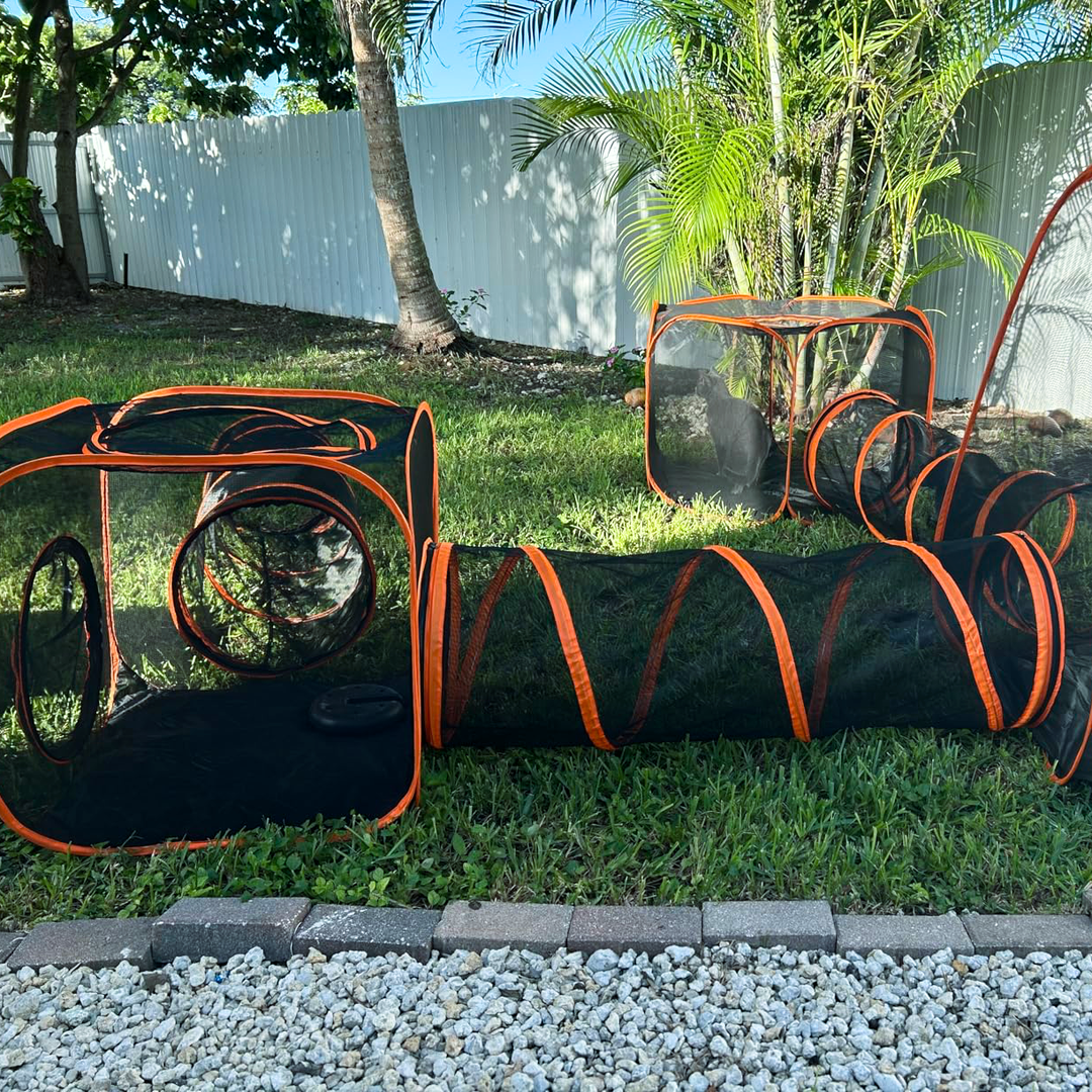 Collapsible Modular Pet Playpen