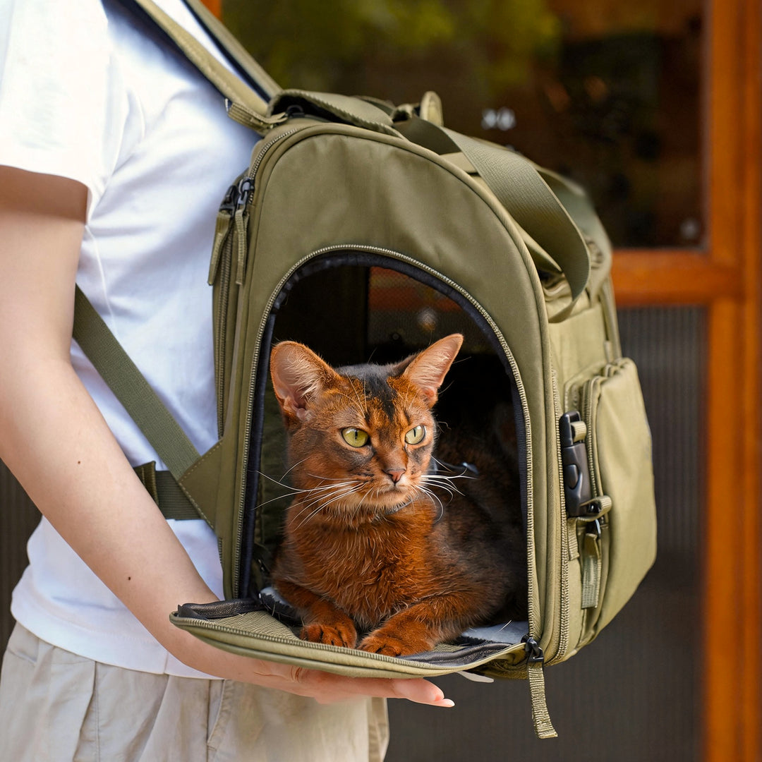 Travel-Ready Expandable Pet Backpack