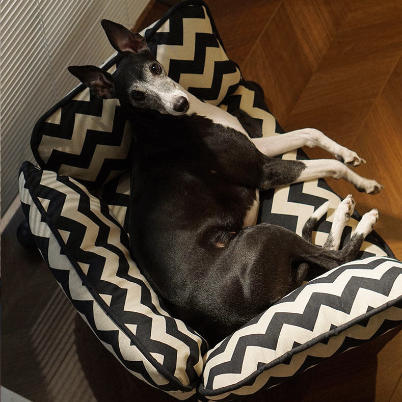 2-in-1 Pet Sofa Hammock