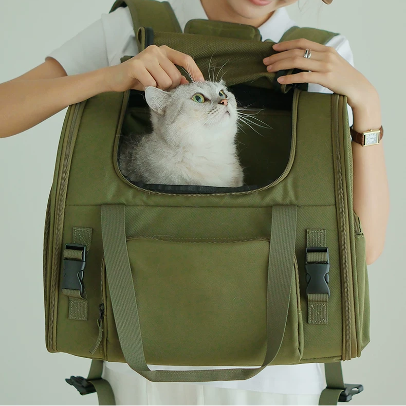 Travel-Ready Expandable Pet Backpack