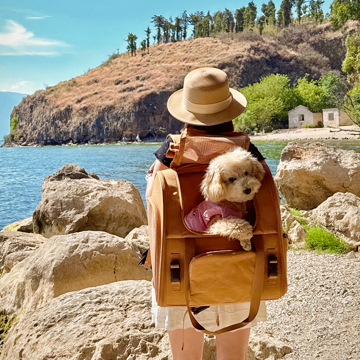 Travel-Ready Expandable Pet Backpack