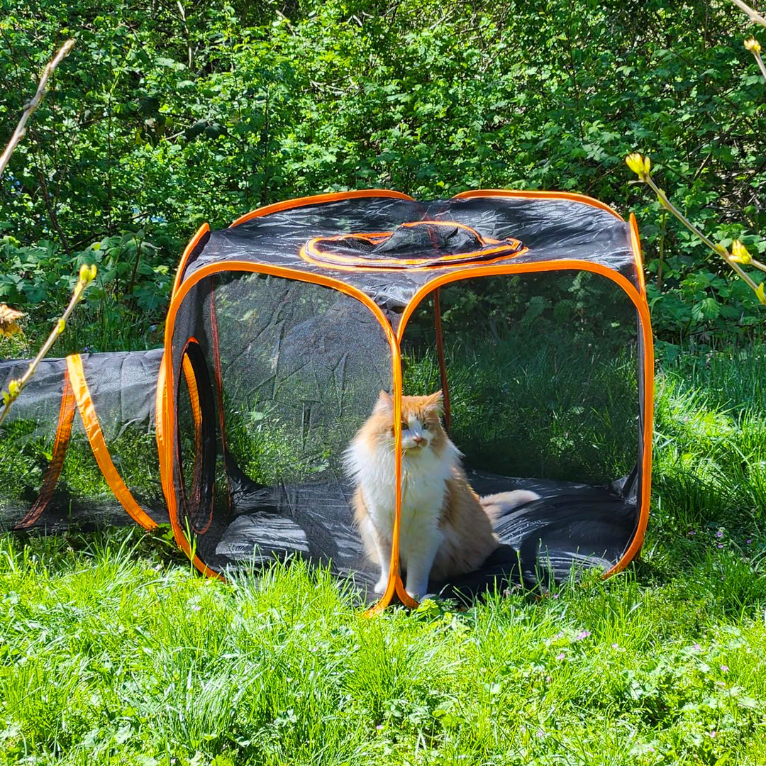 Collapsible Modular Pet Playpen