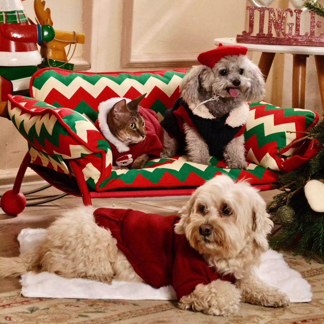 2-in-1 Pet Sofa Hammock
