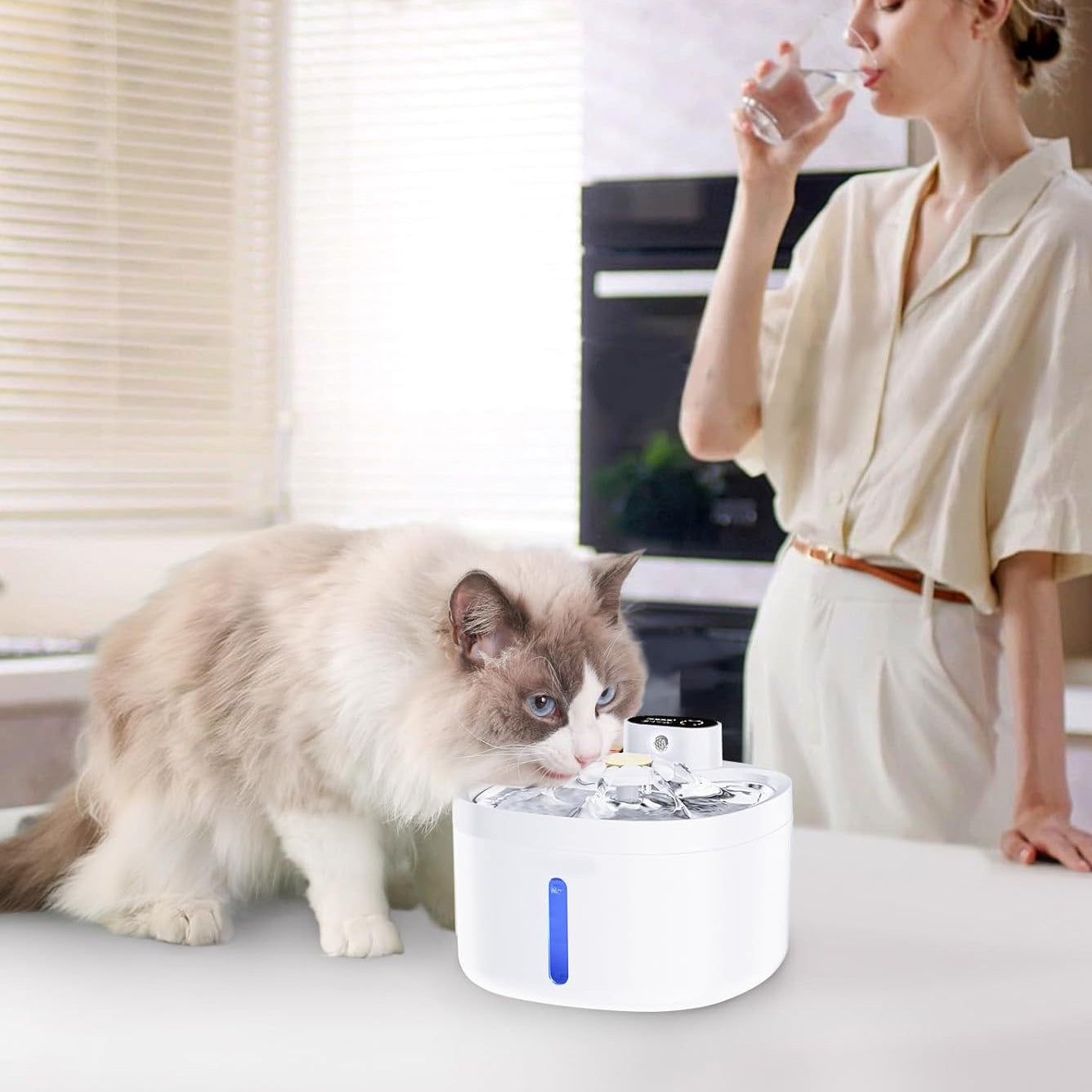 Sensor-Activated Pet Fountain