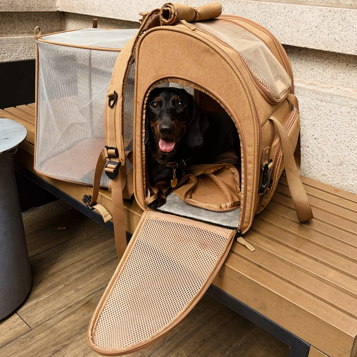 Travel-Ready Expandable Pet Backpack