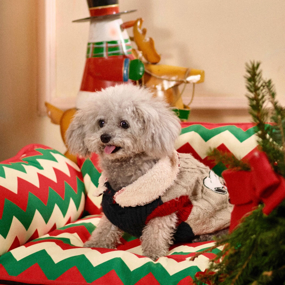 2-in-1 Pet Sofa Hammock
