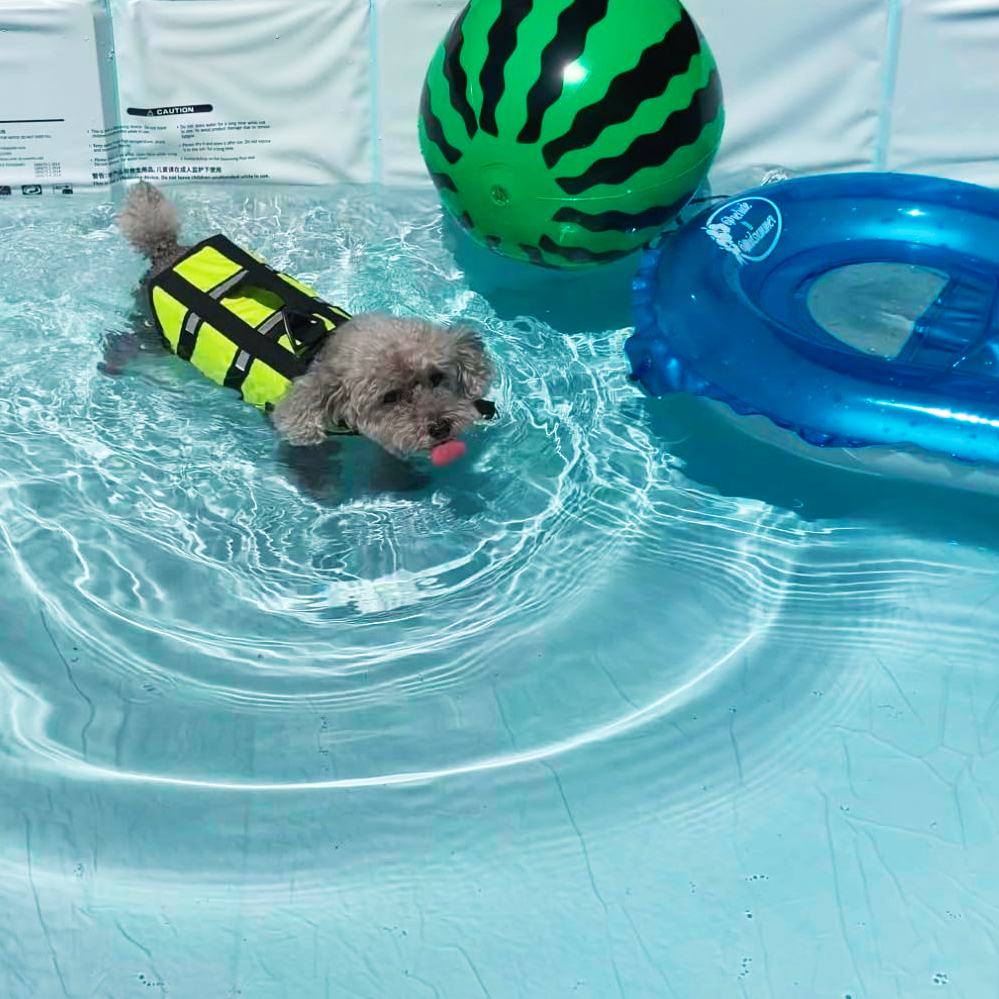 Foldable Dog Pool