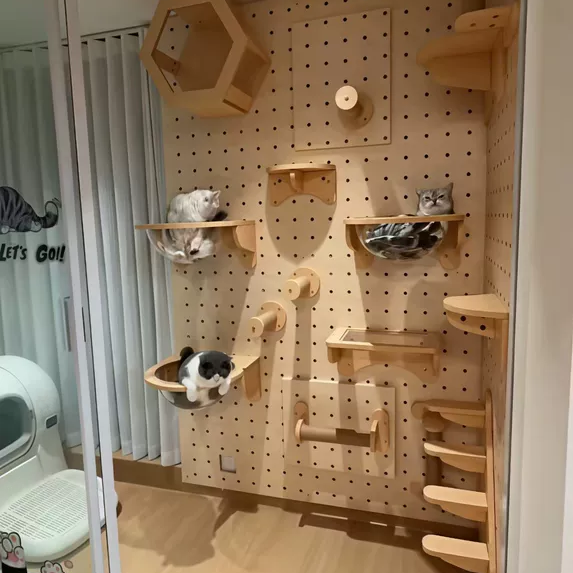 DIY Wall-Mounted Cat Adventure Board