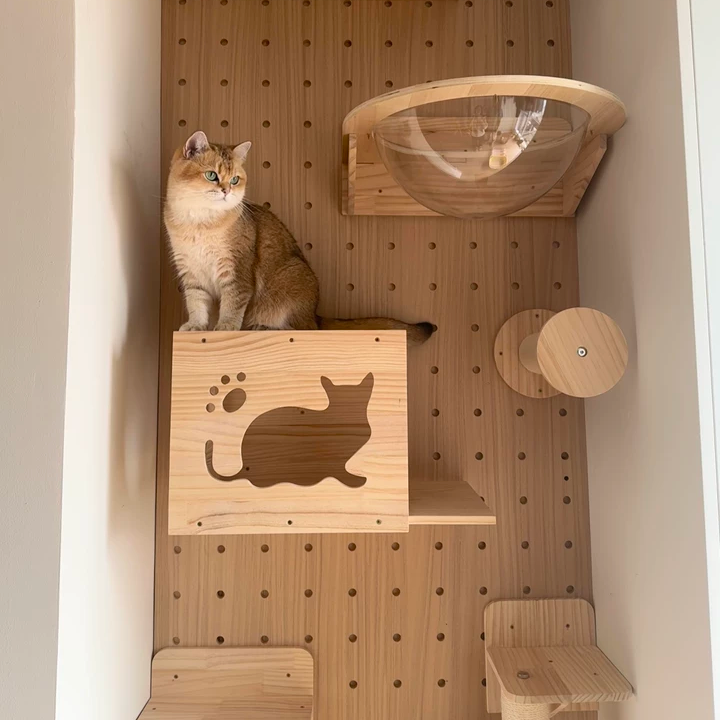 DIY Wall-Mounted Cat Adventure Board
