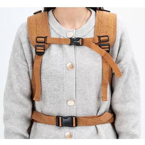 Travel-Ready Expandable Pet Backpack