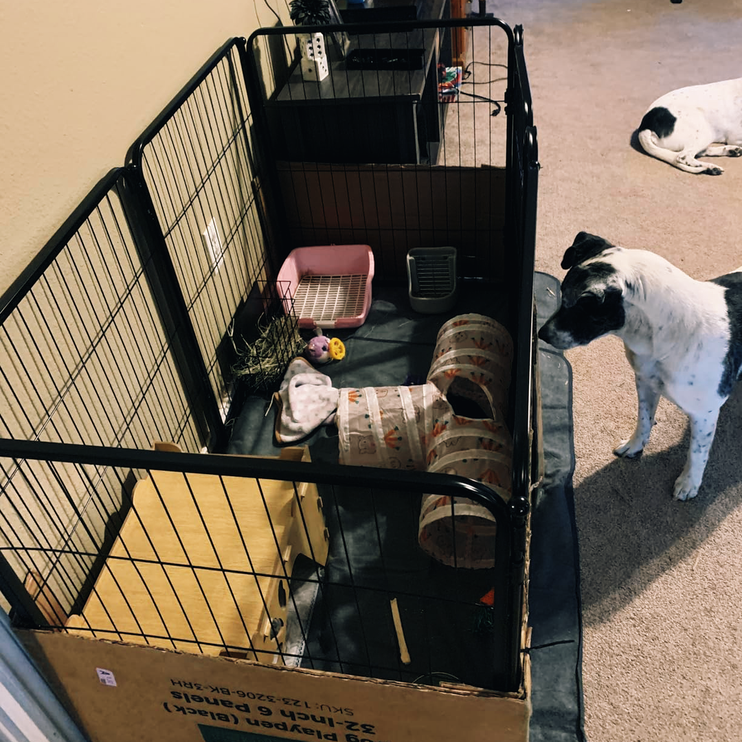 Extendable Modular Pet Playpen (8-Pcs Set)