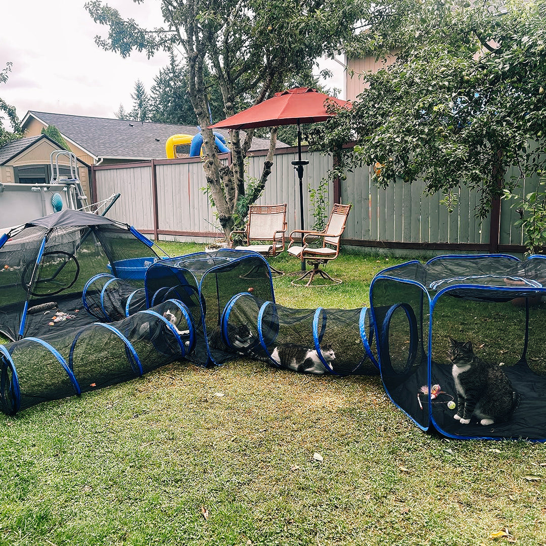 Collapsible Modular Pet Playpen