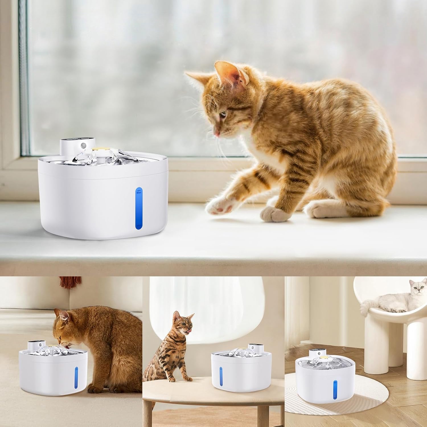 Sensor-Activated Pet Fountain