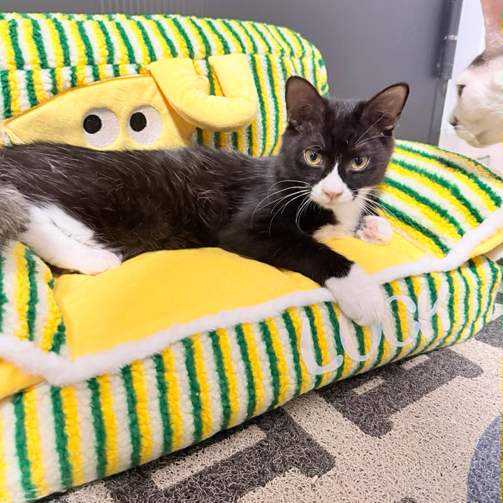 Fluffy Pet Sofa Bed