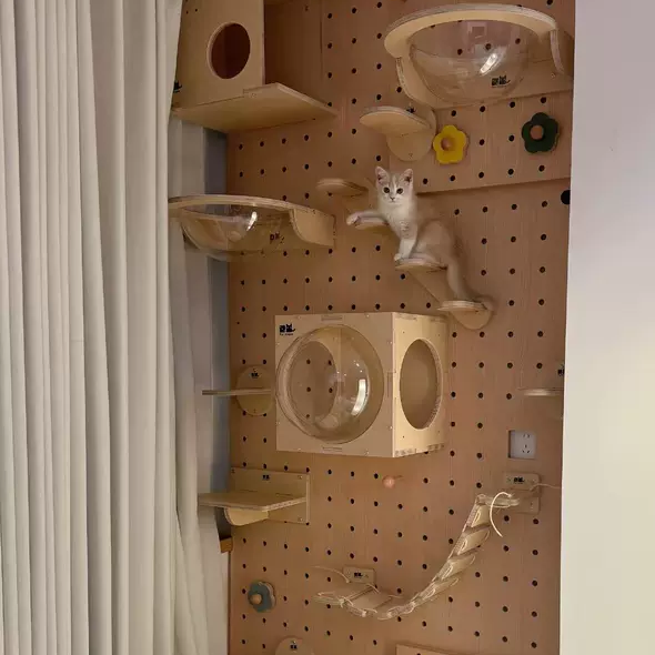 DIY Wall-Mounted Cat Adventure Board