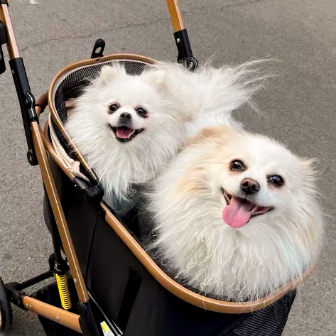 2-in-1 Foldable Pet Stroller