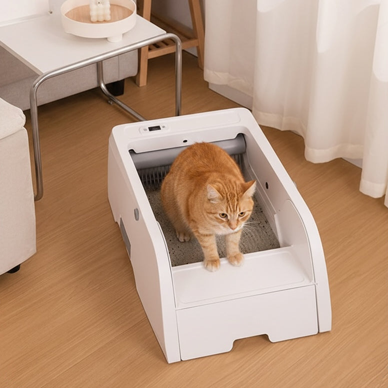 Automatic Open-Top Litter Box