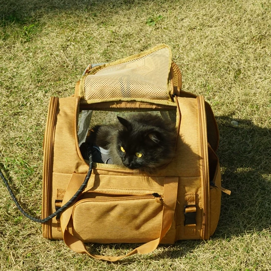 Travel-Ready Expandable Pet Backpack