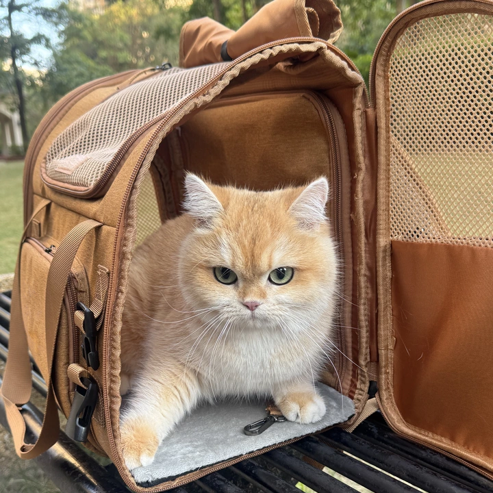 Travel-Ready Expandable Pet Backpack