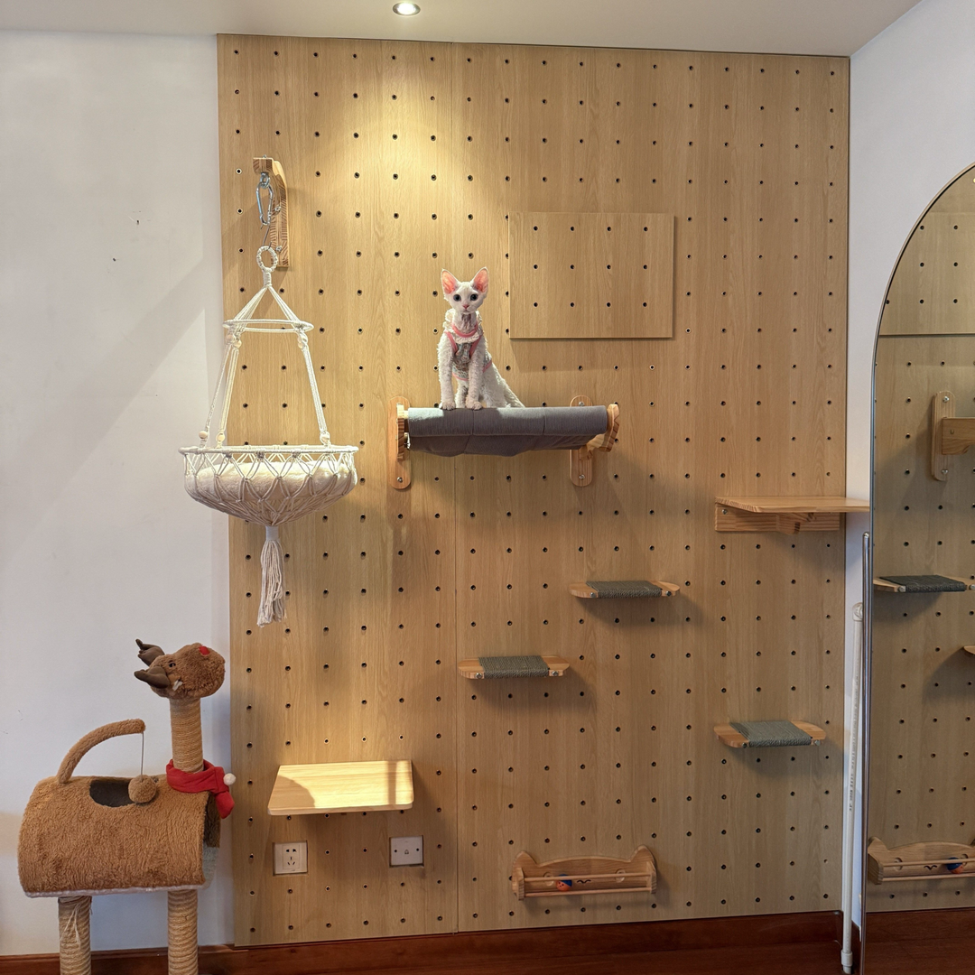 DIY Wall-Mounted Cat Adventure Board