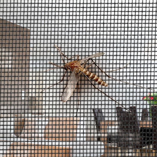 Zip-In Mesh Cat Door Curtain
